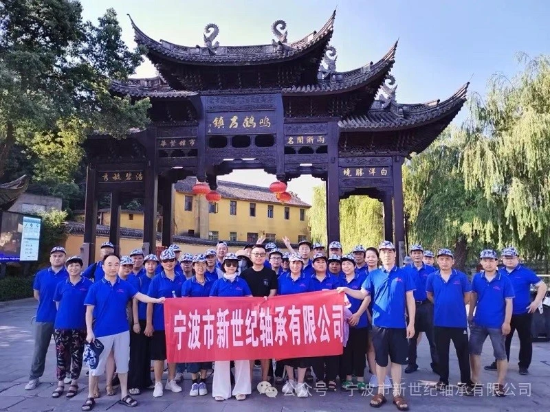 Ningbo jaunā gadsimta gultņu vasaras pludināšanas komandas veidošana