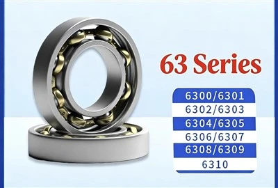 6306 dziļo rievu lodīšu gultnis